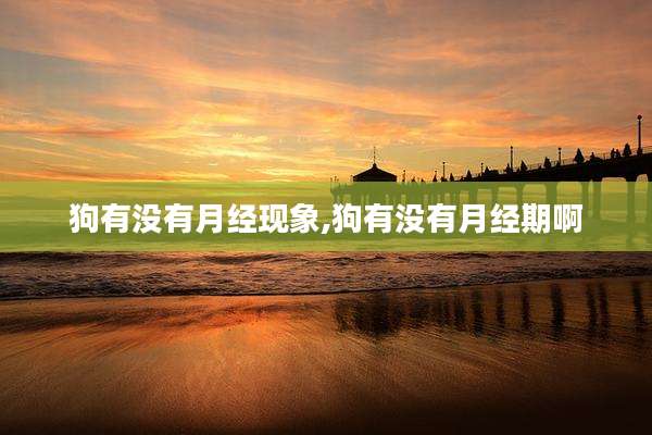 狗有没有月经现象,狗有没有月经期啊