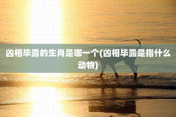 凶相毕露的生肖是哪一个(凶相毕露是指什么动物)