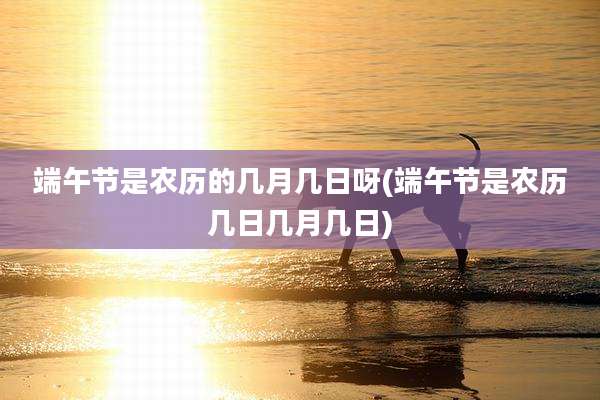 端午节是农历的几月几日呀(端午节是农历几日几月几日)