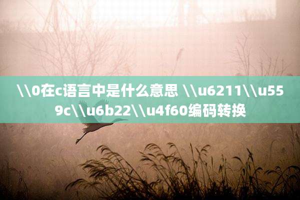 \\0在c语言中是什么意思 \\u6211\\u559c\\u6b22\\u4f60编码转换