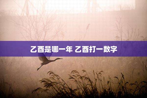 乙酉是哪一年 乙酉打一数字
