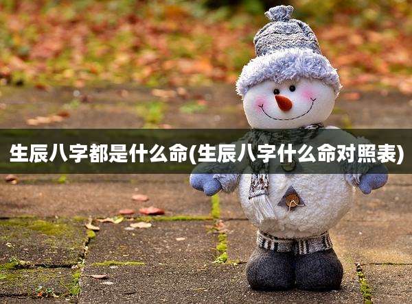 生辰八字都是什么命(生辰八字什么命对照表)