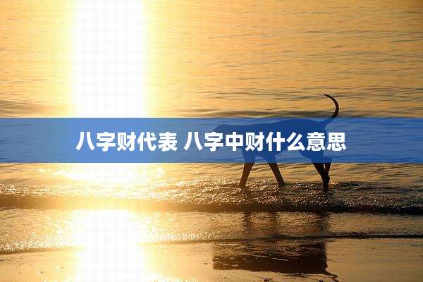 八字财代表 八字中财什么意思