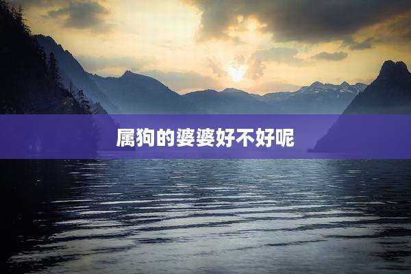 属狗的婆婆好不好呢