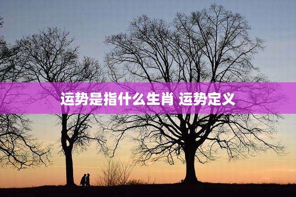 运势是指什么生肖 运势定义