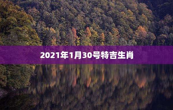 2021年1月30号特吉生肖