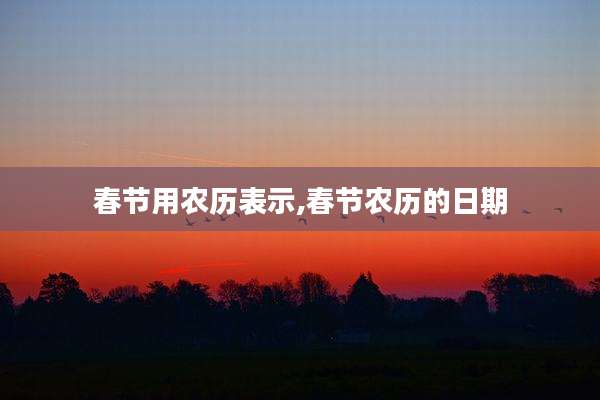 春节用农历表示,春节农历的日期
