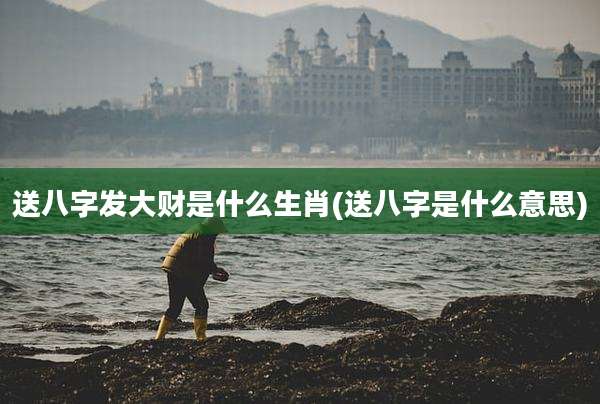 送八字发大财是什么生肖(送八字是什么意思)