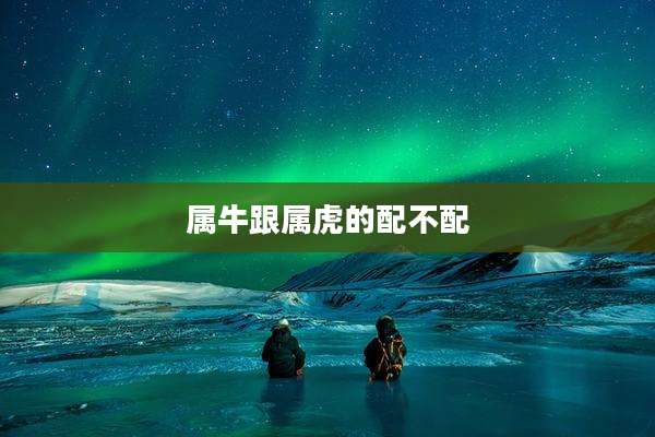 属牛跟属虎的配不配