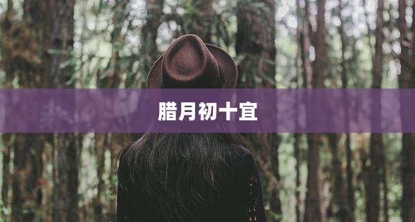腊月初十宜