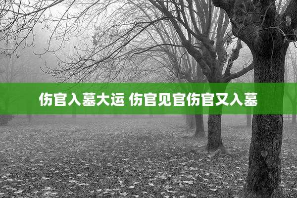 伤官入墓大运 伤官见官伤官又入墓