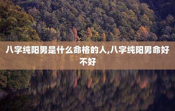 八字纯阳男是什么命格的人,八字纯阳男命好不好