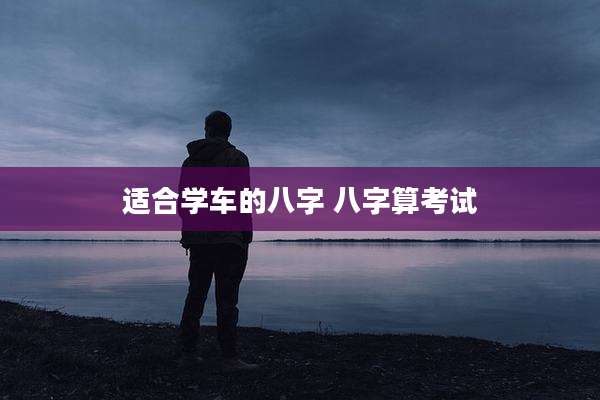 适合学车的八字 八字算考试