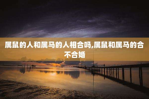 属鼠的人和属马的人相合吗,属鼠和属马的合不合婚
