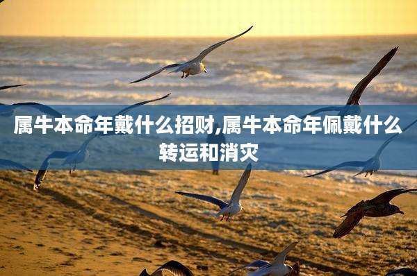 属牛本命年戴什么招财,属牛本命年佩戴什么转运和消灾