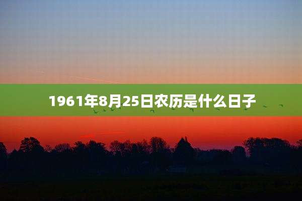 1961年8月25日农历是什么日子