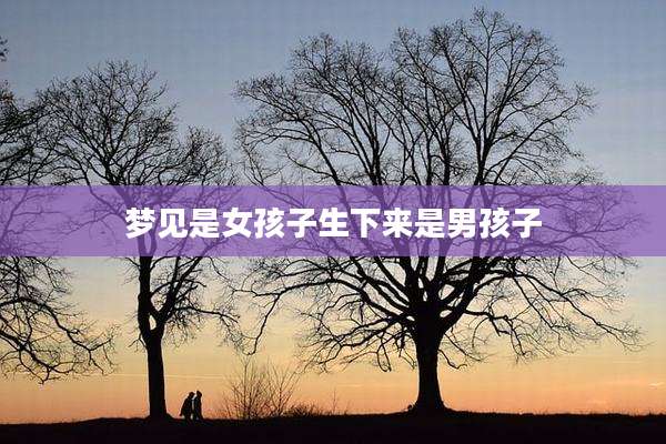 梦见是女孩子生下来是男孩子