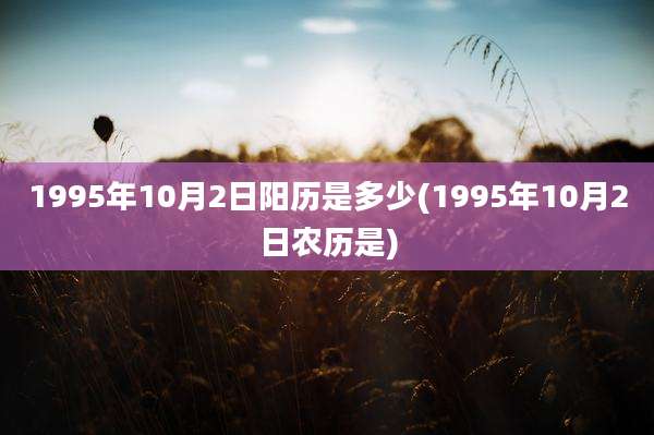 1995年10月2日阳历是多少(1995年10月2日农历是)