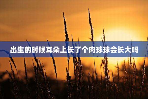 出生的时候耳朵上长了个肉球球会长大吗