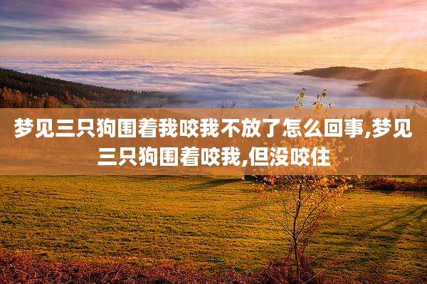 梦见三只狗围着我咬我不放了怎么回事,梦见三只狗围着咬我,但没咬住