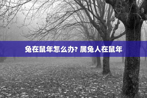 兔在鼠年怎么办? 属兔人在鼠年