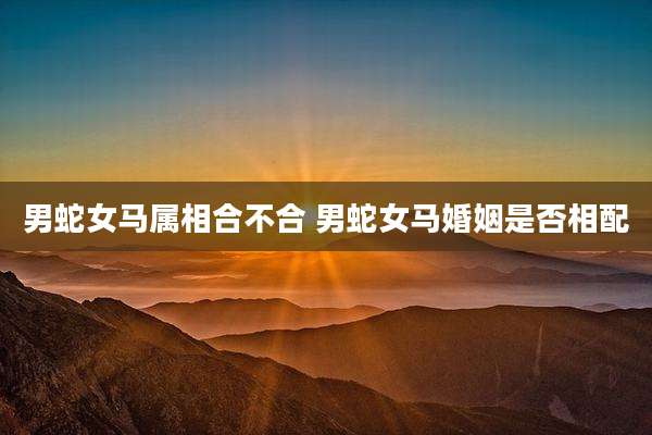 男蛇女马属相合不合 男蛇女马婚姻是否相配