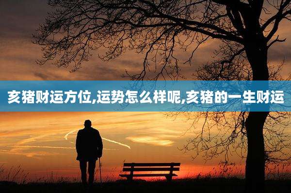 亥猪财运方位,运势怎么样呢,亥猪的一生财运