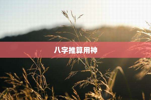 八字推算用神