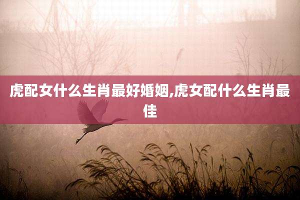 虎配女什么生肖最好婚姻,虎女配什么生肖最佳