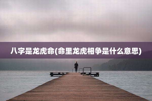 八字是龙虎命(命里龙虎相争是什么意思)