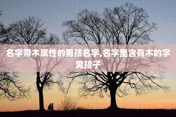 名字带木属性的男孩名字,名字里含有木的字男孩子