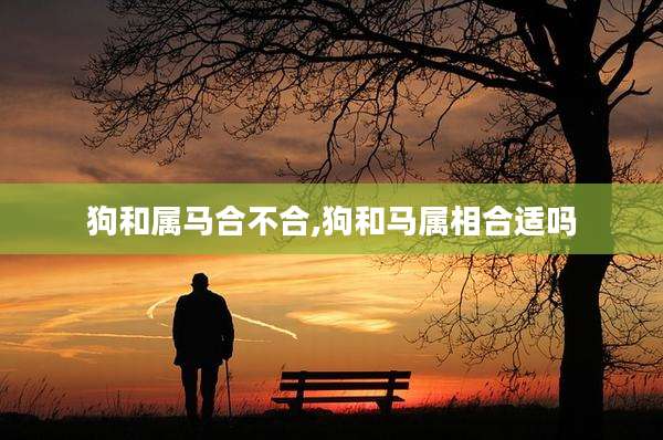 狗和属马合不合,狗和马属相合适吗