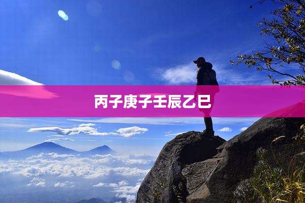 丙子庚子壬辰乙巳