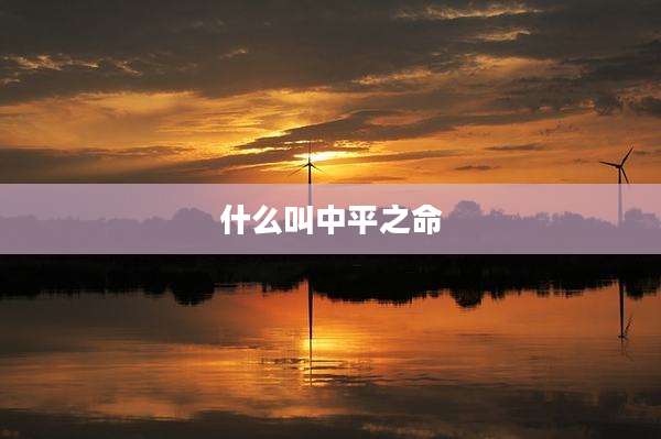 什么叫中平之命