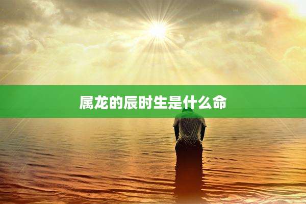 属龙的辰时生是什么命