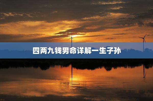 四两九钱男命详解一生子孙