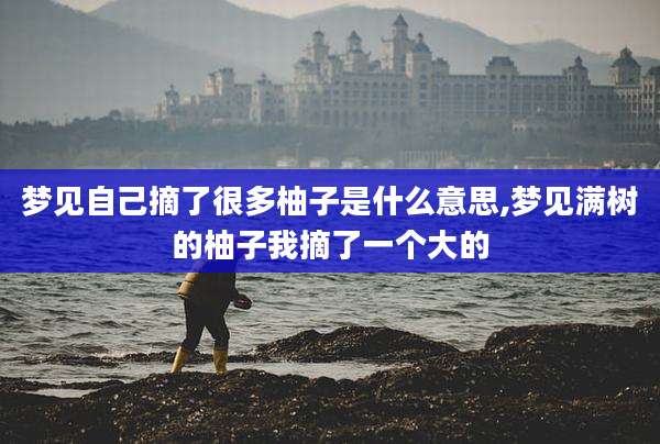 梦见自己摘了很多柚子是什么意思,梦见满树的柚子我摘了一个大的