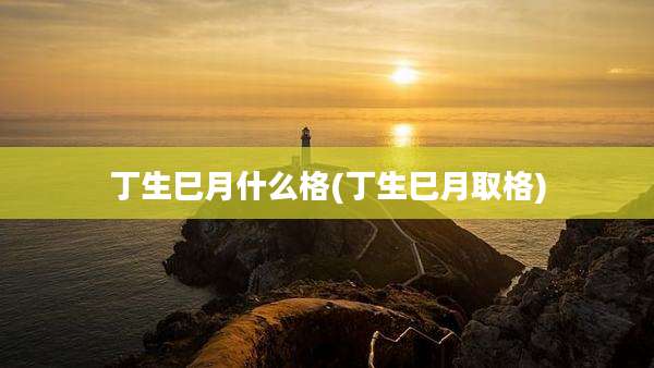 丁生巳月什么格(丁生巳月取格)