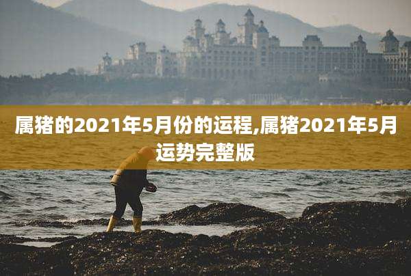 属猪的2021年5月份的运程,属猪2021年5月运势完整版