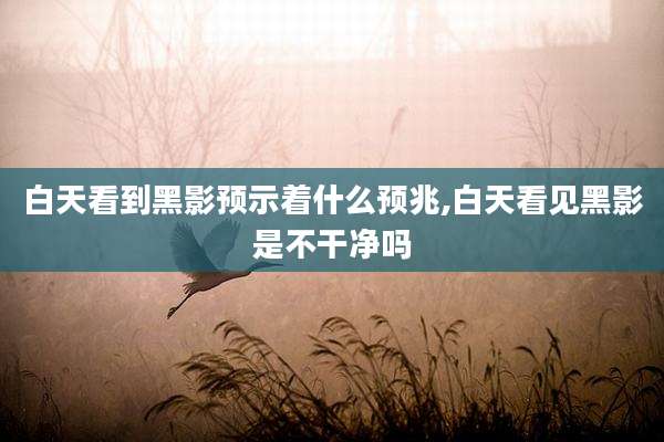 白天看到黑影预示着什么预兆,白天看见黑影是不干净吗