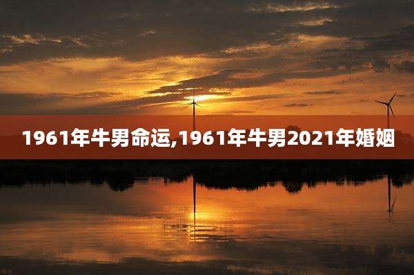 1961年牛男命运,1961年牛男2021年婚姻