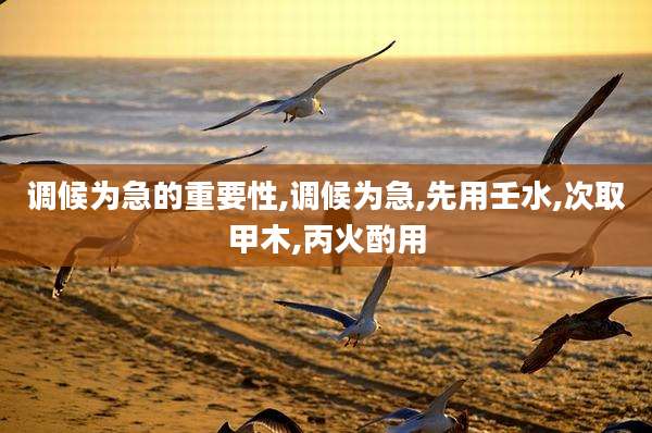 调候为急的重要性,调候为急,先用壬水,次取甲木,丙火酌用