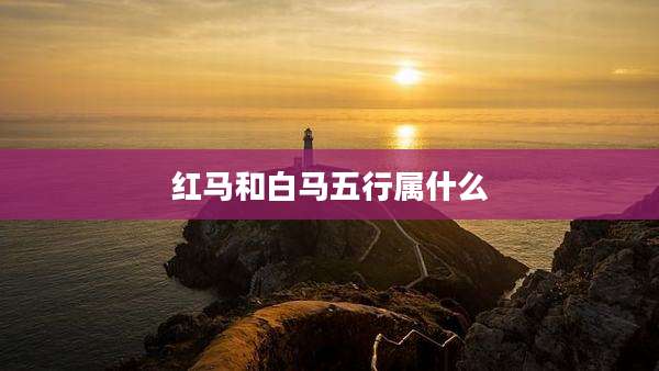 红马和白马五行属什么