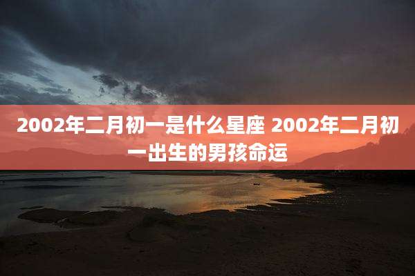 2002年二月初一是什么星座 2002年二月初一出生的男孩命运