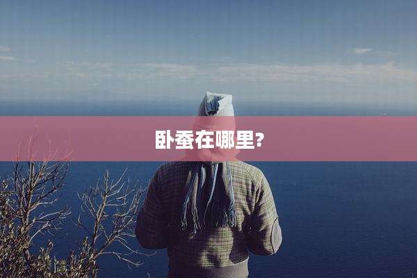 卧蚕在哪里?