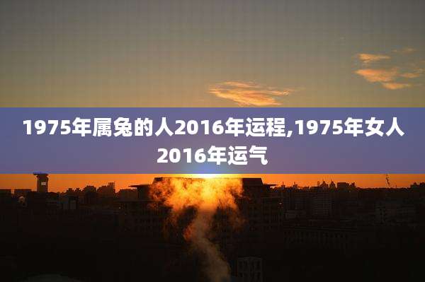 1975年属兔的人2016年运程,1975年女人2016年运气