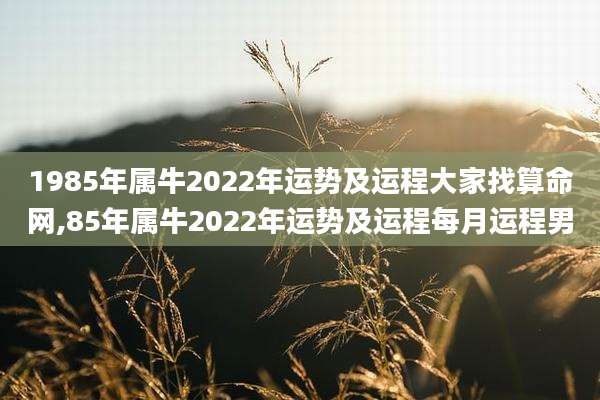 1985年属牛2022年运势及运程大家找算命网,85年属牛2022年运势及运程每月运程男