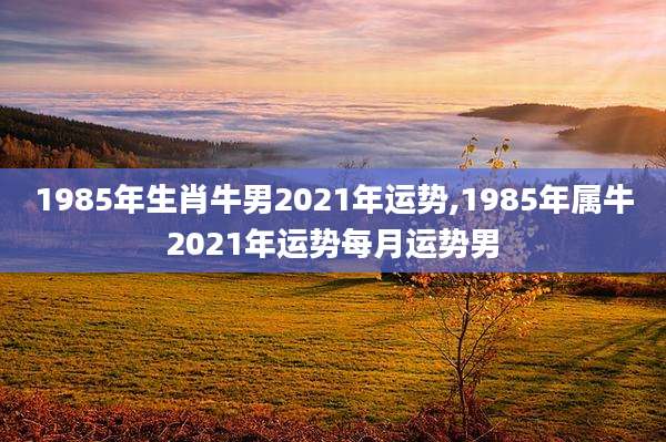 1985年生肖牛男2021年运势,1985年属牛2021年运势每月运势男
