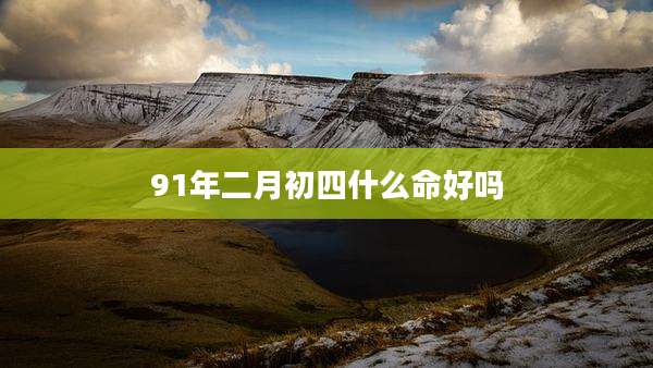91年二月初四什么命好吗