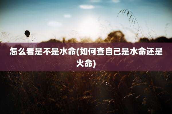 怎么看是不是水命(如何查自己是水命还是火命)